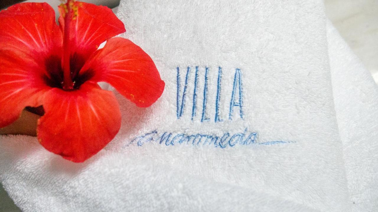 Villa Andromeda Hriszí Aktí Haniá Kültér fotó